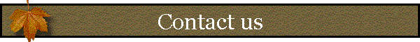 Contact us